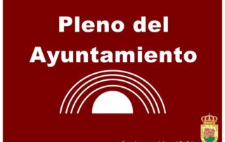 PLENO Web del Ayuntamiento de Arenas de San Pedro