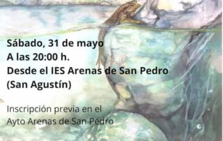 "Noche de anfibios", la próxima salida de campo dentro del programa Nexus 2 Web del Ayuntamiento de Arenas de San Pedro