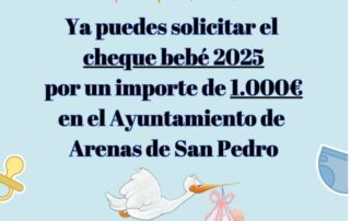 cHEQUE BEBE Web del Ayuntamiento de Arenas de San Pedro