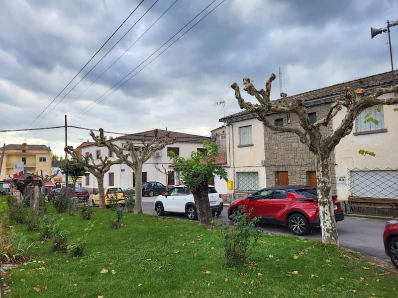 Poda Ramacastañas 4 1 Web del Ayuntamiento de Arenas de San Pedro
