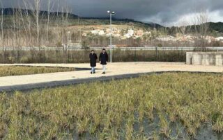 1 4 Web del Ayuntamiento de Arenas de San Pedro