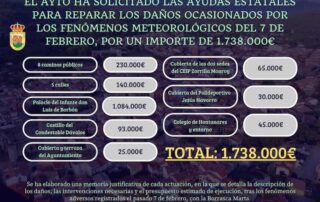 Infografia 1 Web del Ayuntamiento de Arenas de San Pedro