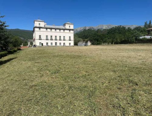 Desbroce de la explanada del Palacio del Infante don Luis de Borbón